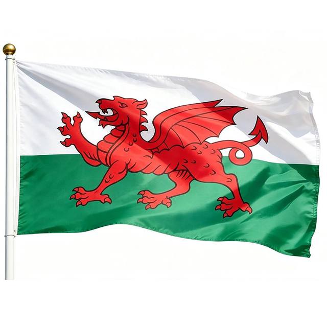 /uploads/flag/products/flag-013.jpg